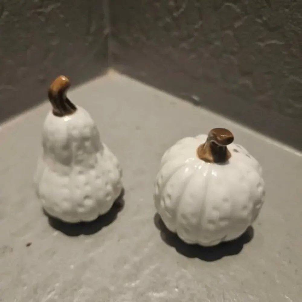 Hobby Lobby Ceramic Pumpkin and Gourd Salt and Pepper Shakers